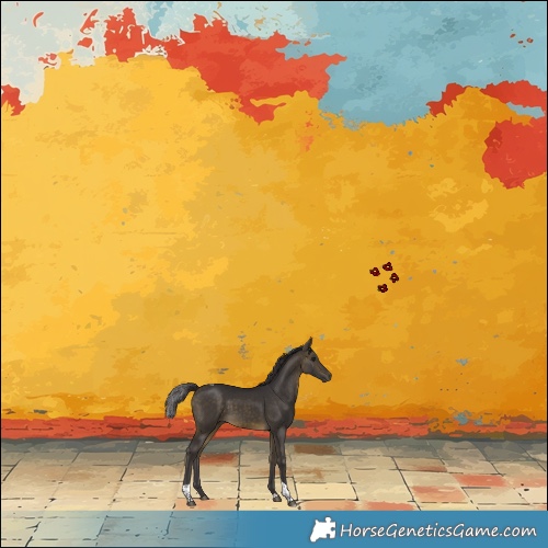 Horse Color:Buckskin Tobiano 
