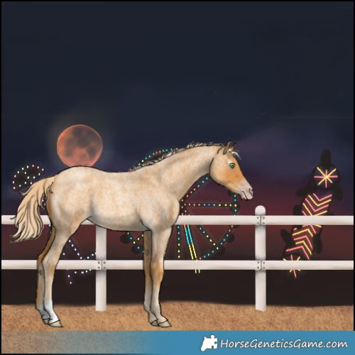 Horse Color:Gray Gold Cream Champagne Roan 