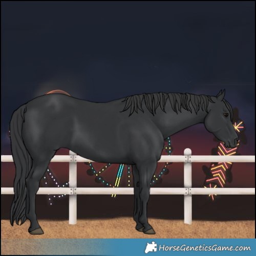Horse Color:Black 