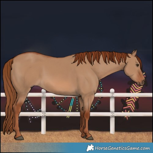 Horse Color:Red Dun 