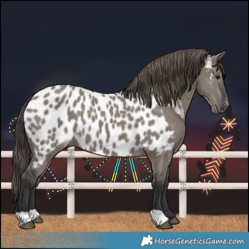 Horse Color:Grullo Near Leopard 