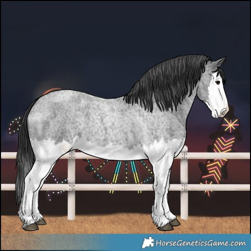 Horse Color:Blue Roan Splash 