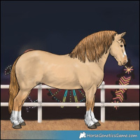Horse Color:Red Dun