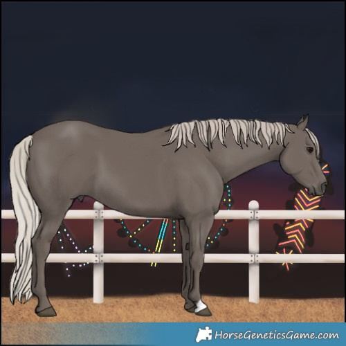 Horse Color:Silver Black 