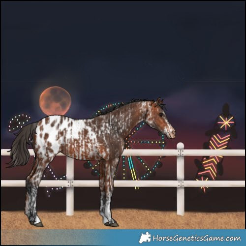 Horse Color:Bay Sabino Blanket Rabicano and Bay Sabino Blanket Rabicano