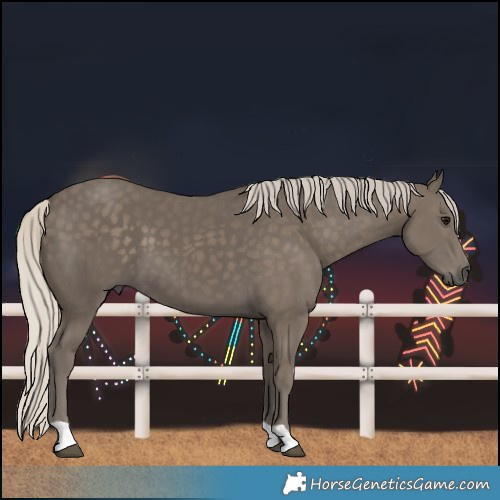 Horse Color:Silver Smoky Black 