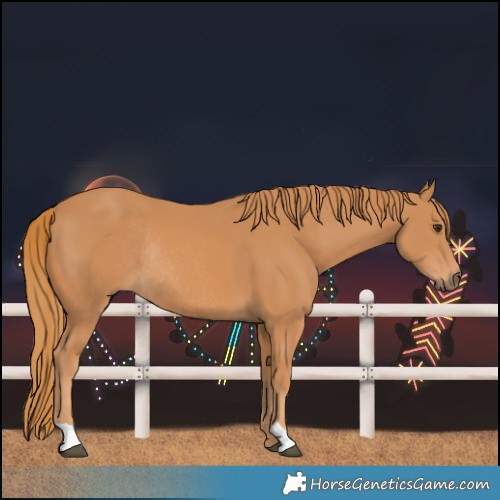 Horse Color:Chestnut Rabicano