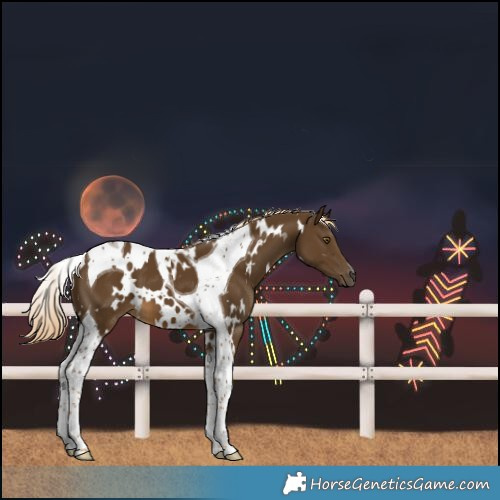 Horse Color:White Spotted Chocolate Palomino Tobiano 