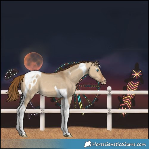 Horse Color:Gray Perlino Dun Tobiano Varnish