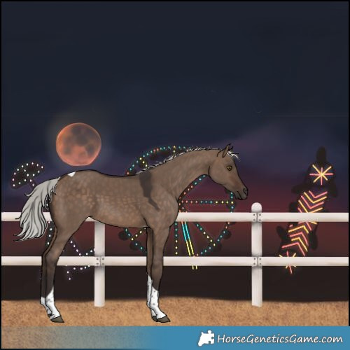 Horse Color:Silver Brown Dun Tobiano 