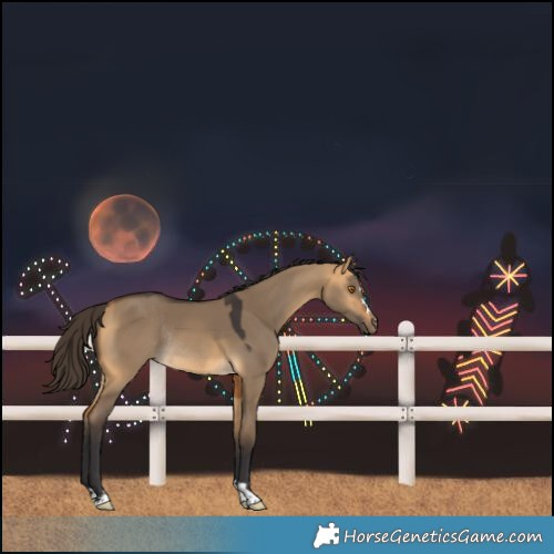 Horse Color:Buckskin Dun Rabicano
