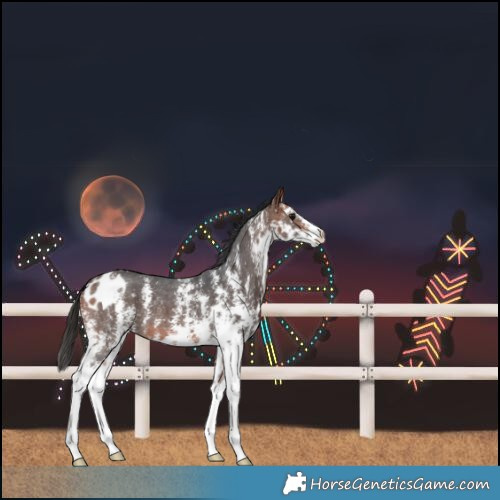 Horse Color:Bay Sabino Skewed LP Spotted 