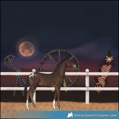Horse Color:Liver Chestnut Skewed LP Spotted 