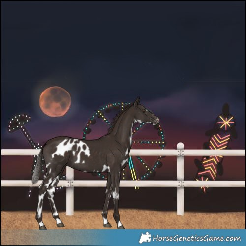 Horse Color:Liver Chestnut Skewed LP Spotted 
