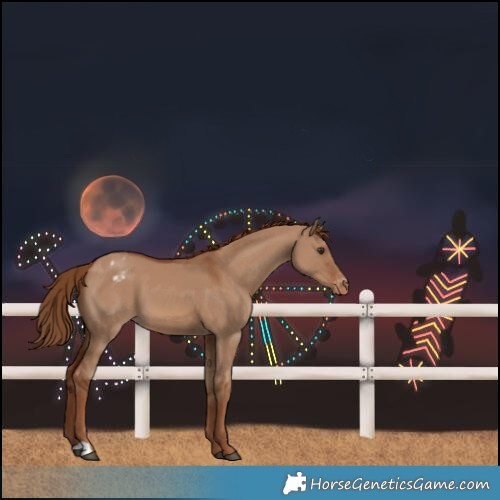 Horse Color:Red Dun Varnish 