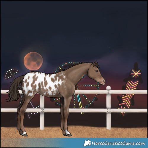 Horse Color:Liver Red Dun Blanket 
