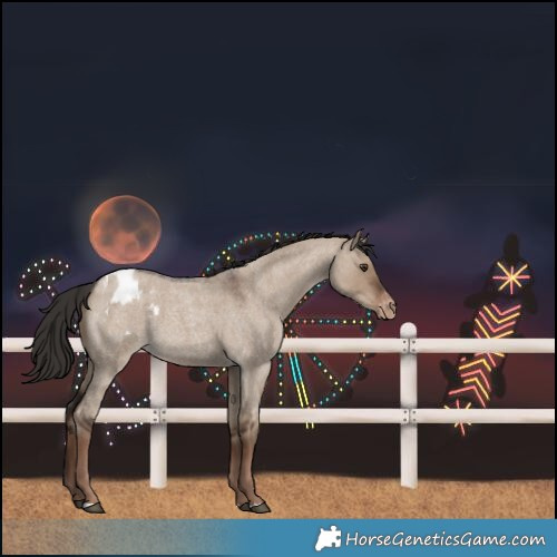 Horse Color:Liver Red Dun Roan Varnish 