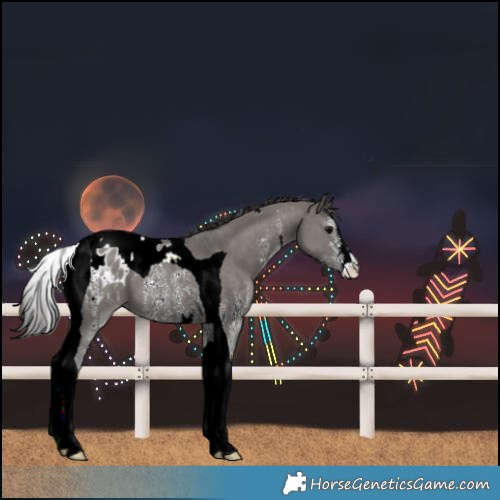 Horse Color:Grullo Sabino Tobiano Blanket 