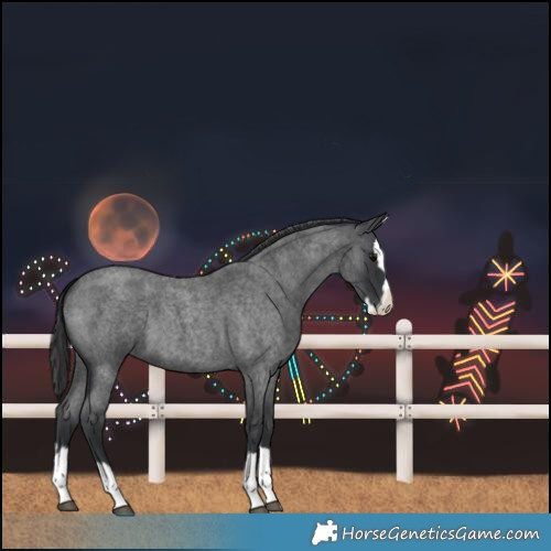 Horse Color:Blue Roan Splash Varnish 