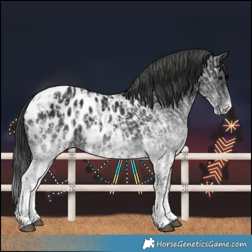 Horse Color:White Spotted Blue Roan Near Leopard Rabicano and White Spotted Black Tobiano Near Leopard Rabicano