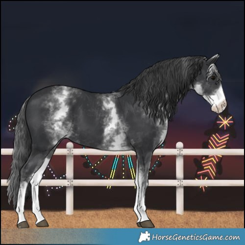 Horse Color:White Spotted Black