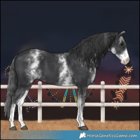 Horse Color:White Spotted Black