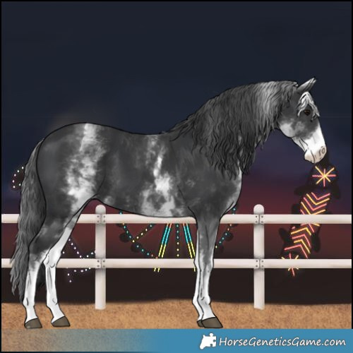 Horse Color:White Spotted Black