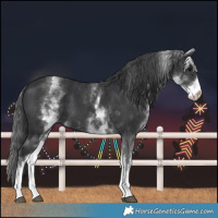 Horse Color:White Spotted Black 