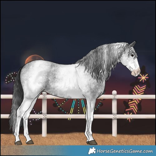 Horse Color:White Spotted Blue Roan 