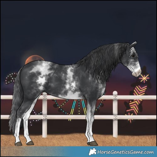 Horse Color:White Spotted Black
