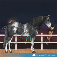 Horse Color:White Spotted Black