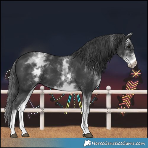 Horse Color:White Spotted Black 