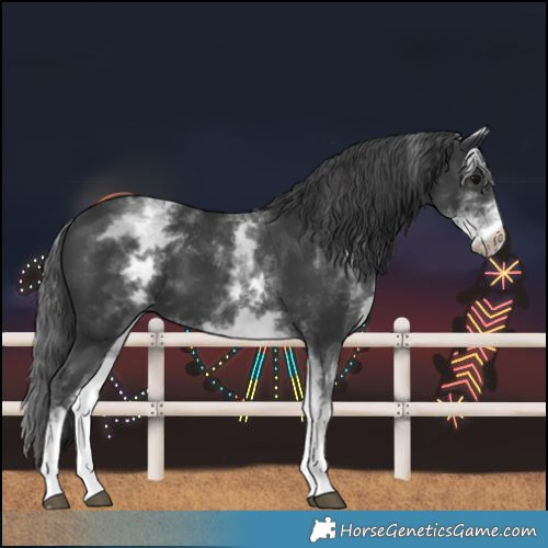 Horse Color:White Spotted Black 