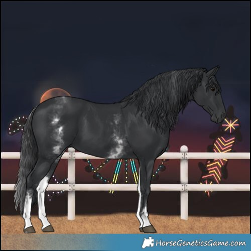 Horse Color:White Spotted Black 