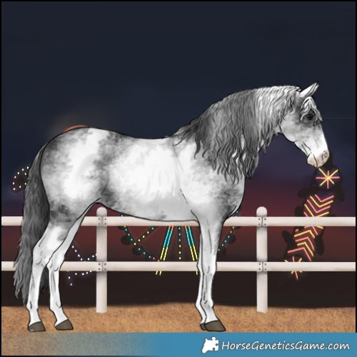 Horse Color:White Spotted Black 