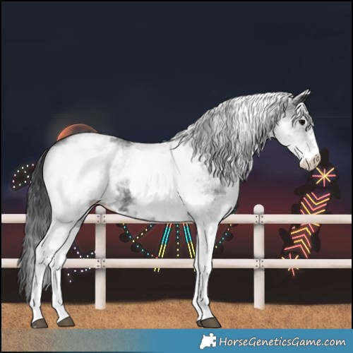 Horse Color:White Spotted Black 