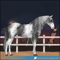 Horse Color:White Spotted Black 