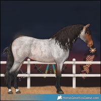 Horse Color:Bay Roan Varnish