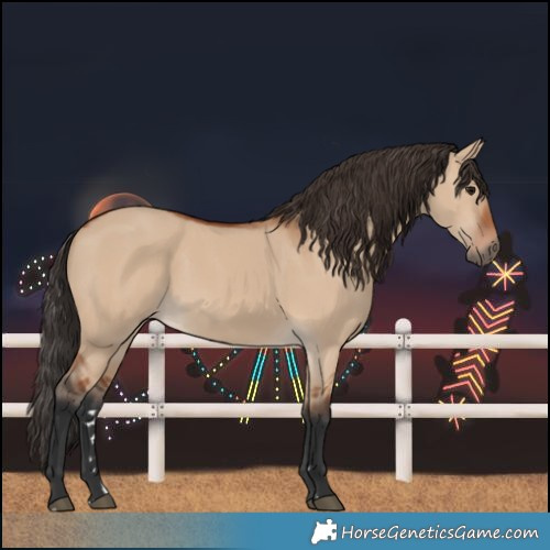 Horse Color:Bay Dun 