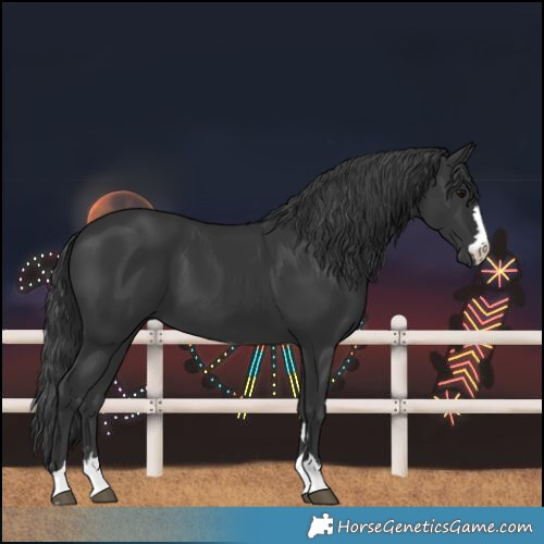 Horse Color:Black 