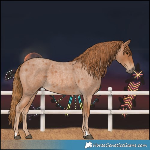 Horse Color:Red Roan 