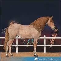 Horse Color:Red Roan 