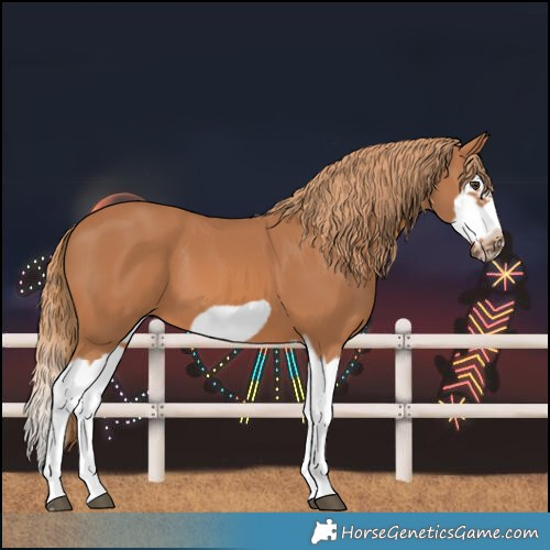 Horse Color:Chestnut Splash Frame 
