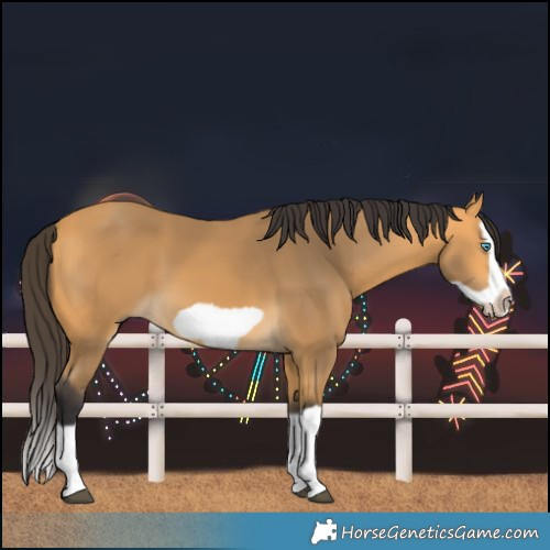 Horse Color:Buckskin Splash Frame 
