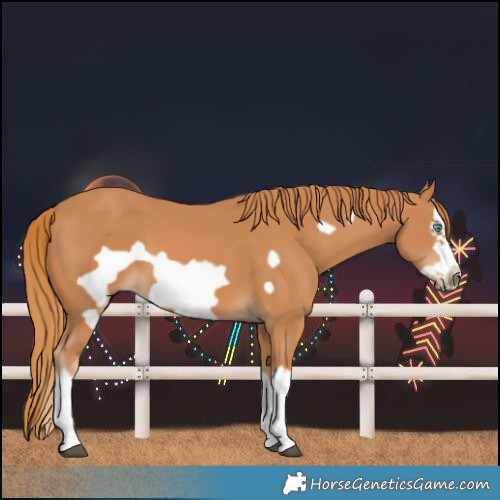 Horse Color:Chestnut Splash Frame 