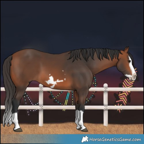 Horse Color:Bay Splash Frame