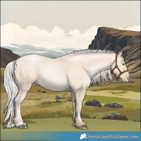 Horse Color:Silver Amber Cream Champagne Pearl