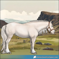Horse Color:Gold Cream Champagne Pearl