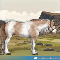 Horse Color:White Spotted Red Dun Rabicano and White Spotted Red Dun Rabicano
