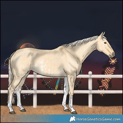 Horse Color:White Spotted Palomino Dun Rabicano  and White Spotted Palomino Dun Rabicano 
